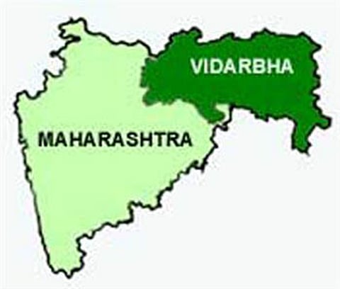LokSabha 2019 : विदर्भात बहुरंगी लढतींची शक्यता कमीच