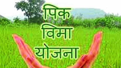 प्रधानमंत्री पीकविमा योजना