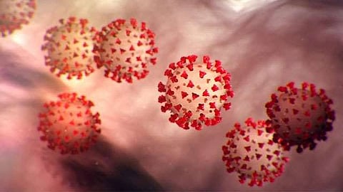 CoronaVirus News Beed
