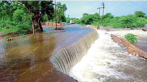 dhule collage