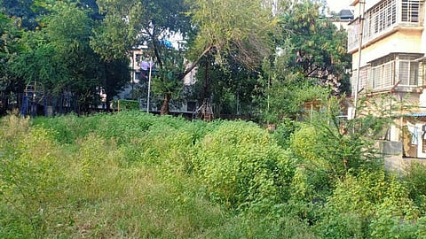 भोसरीतील मैदान, मोकळ्या जागा गवतात हरवल्या