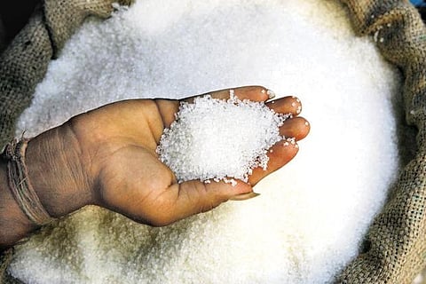 Sugar