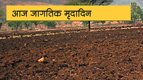 अन्नद्रव्यांच्या कमतरतेने जमीन सुपीकतेत घट