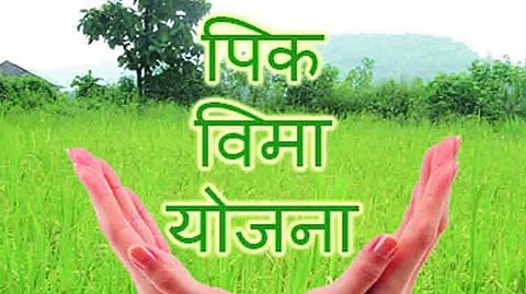 crop insurance