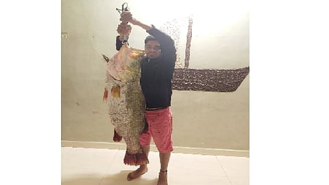 ... अबब, 35 किलोचा जिताडा जाळ्यात! तब्बल एवढ्या रुपयांना विक्री! वाचा