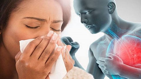 पावसाळी आजारांपासून दूर राहण्यासाठी वाचा ही अत्यंत महत्वाची माहिती; स्वतःला ठेवा निरोगी आणि फिट