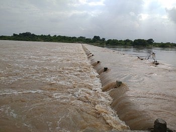 aalge bandhara.jpg