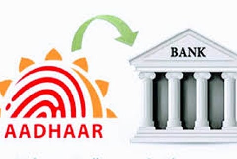 25,000 farmers are waiting for debt waiver, debt relief horses were hampered due to Aadhaar certification akola marathi news