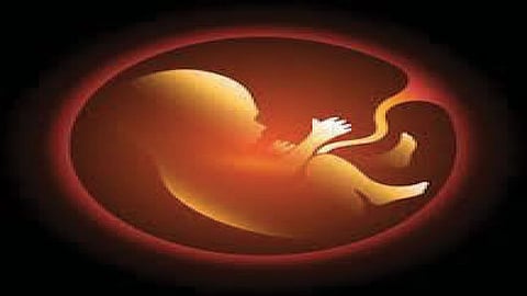 diagnosis test for fetus pregnancy baby gender kolhapur martahi news