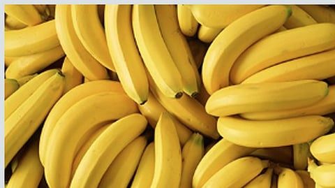 banana