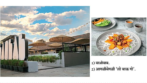 baobab multi causing global restaurant