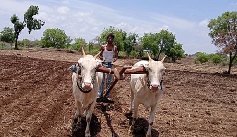 farmer