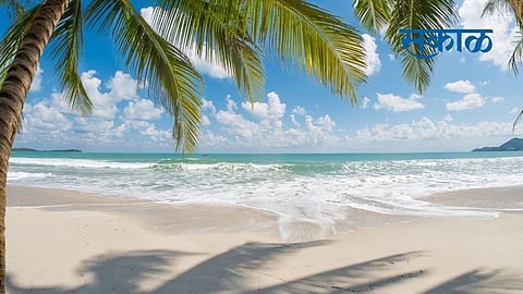 best beaches near mumbai