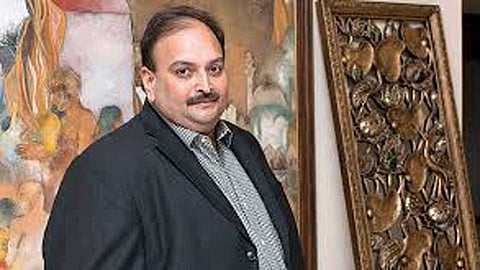मेहुल चोक्सीचे अॅंटिग्वाचे नागरिकत्व रद्द होणार