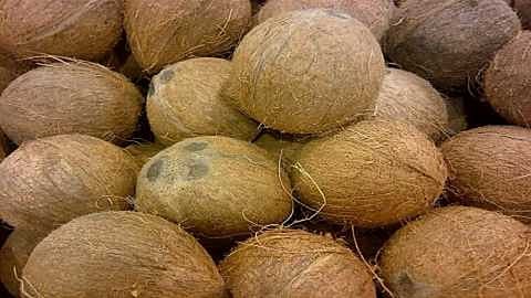 coconut.jpg