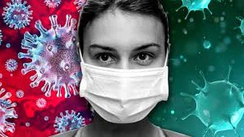 The number of corona patients decreased in Ahmednagar