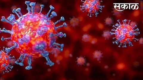 corona virus