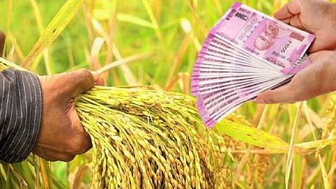 crop loan.jpg