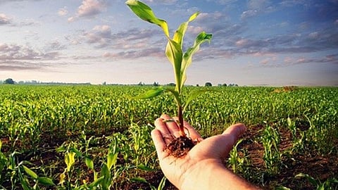 crop insurance for farmers paid within the date of 27th november in sindhudurg