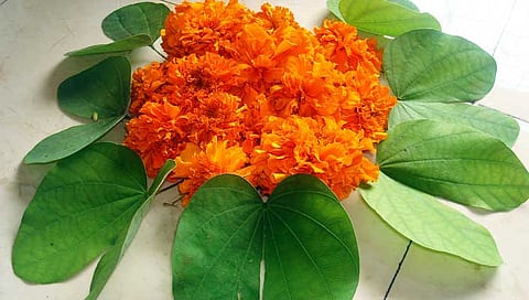dasara utsav