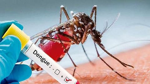 Increase dengue patients in Belgaum Panic among citizens