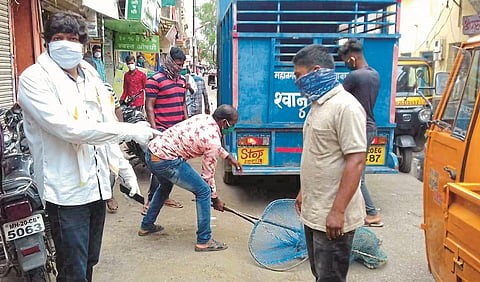 अनेकांचे चावे घेणाऱ्या कुत्र्याला पकडून नेताना महापालिकेचे श्वान पथक.