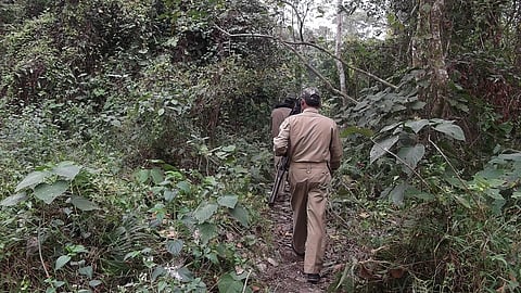 forest department did not give payment to labors.