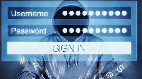 online fraud