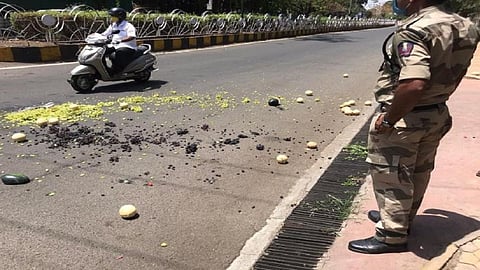 fruits throw.jpg