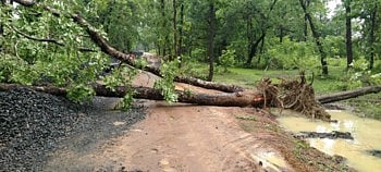 gadchiroli.
