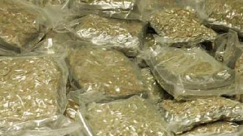 ganja