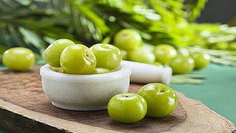 health benefits of Amla