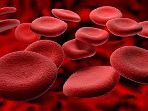 himoglobin.jpg