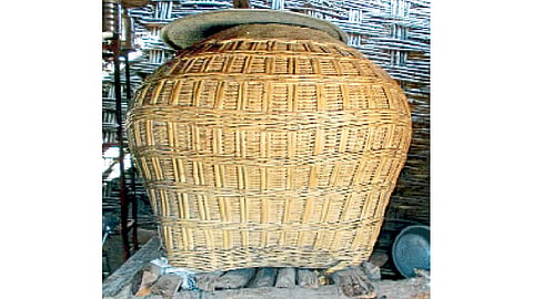 seed-storage