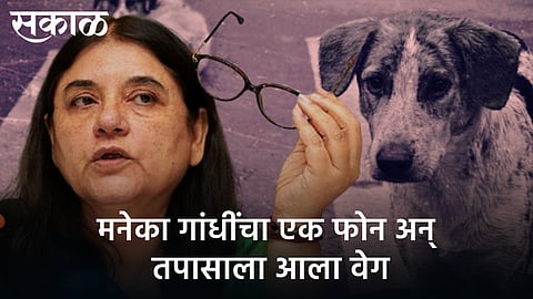 investigation came speeded up after Maneka Gandhi's phone in tcase of throwing a dog from a building