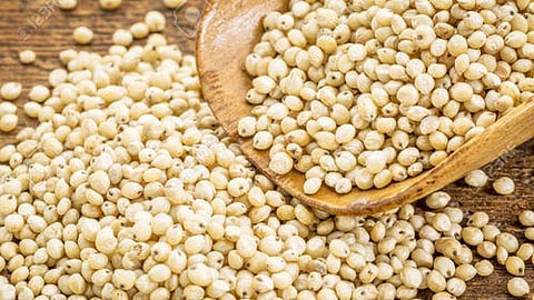 भाकरी महागली! सर्वसामान्यांनी जगायचे तरी कसं?