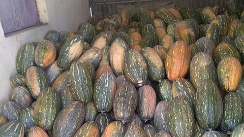kashifal.jpg
