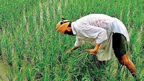 social audit of kisan samman yojana