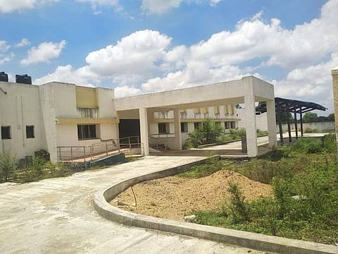 kodamendhi-1
