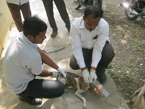 kutri photo.jpg