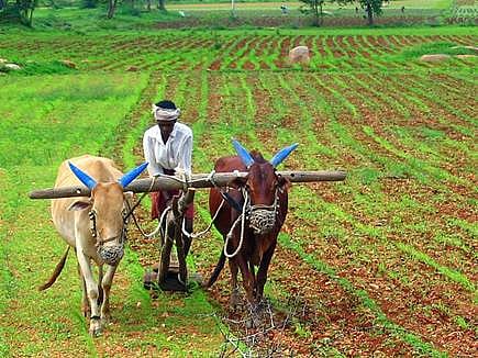 land agri.jpg