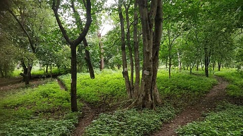 land