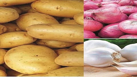 lasun and onion.jpg