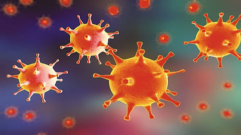 coronavirus
