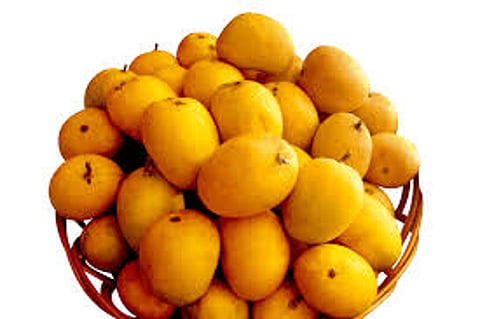 mango.jpg