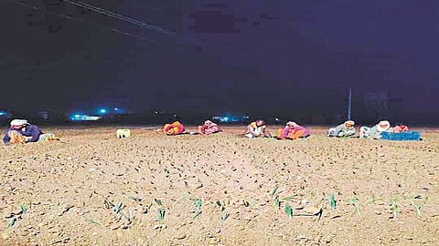 manmad light issue.jpg