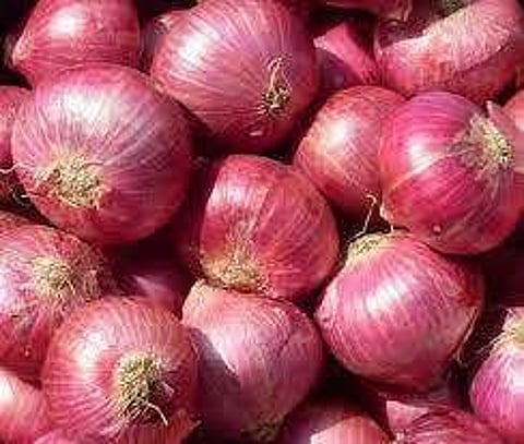 onion.jpg