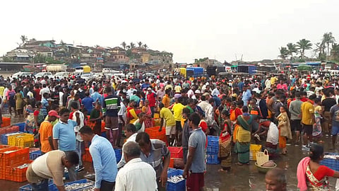 tourism started in ratnagiri