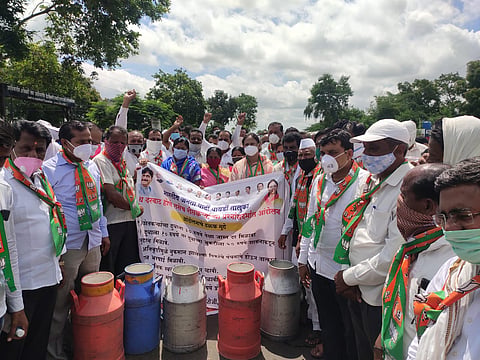 In Pathardi, free milk was distributed by MLA Rajale