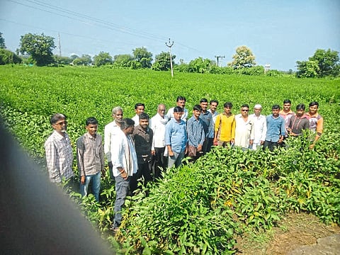Akola News: Guidance on the rest of the dam just for taking photos